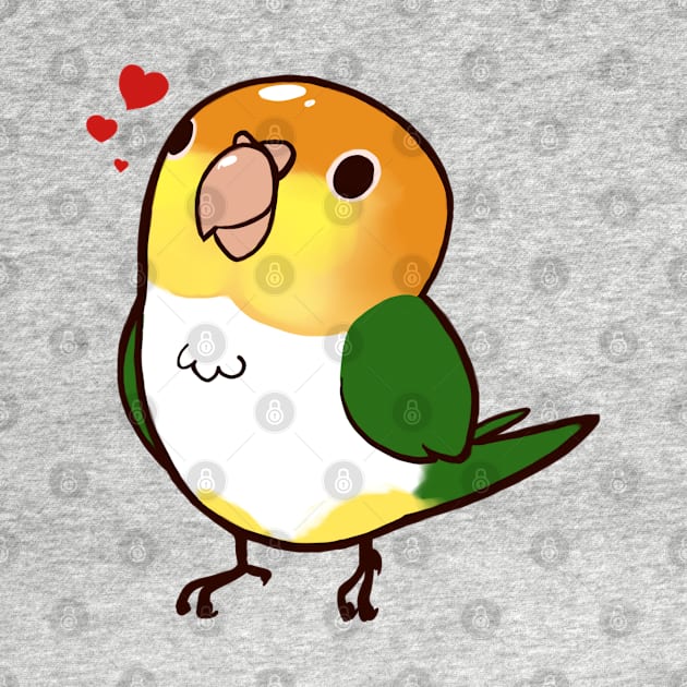 Caique 2 by Shemii